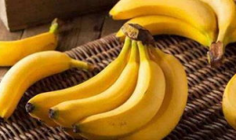 91香蕉蜜汁直播,甜蜜蜜汁，直播新体验