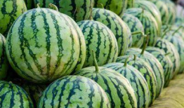 全国各地吃瓜爆料视频,各地吃瓜爆料视频大盘点